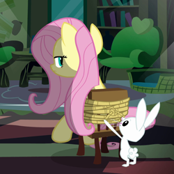 Size: 1080x1080 | Tagged: safe, screencap, angel bunny, fluttershy, pegasus, pony, rabbit, g4, putting your hoof down, season 2, animal, chair, cropped, duo, duo male and female, female, fluttershy's cottage (interior), frown, looking back, male, mare, out of context, rope, tied to chair, tied up