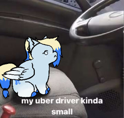 Size: 360x343 | Tagged: safe, artist:insomniracc, oc, oc only, oc:azure opus, pegasus, pony, :<, blind, car, car interior, commission, ear fluff, ear piercing, meme, piercing, ponified animal photo, smol, solo, tail, two toned mane, two toned tail, ych result