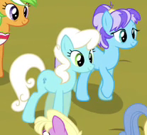 Size: 207x191 | Tagged: safe, screencap, apple leaves, huckleberry belle, leitmotif (g4), salt water, skyblue summer, earth pony, pony, g4, trade ya!, apple family member, background pony, cropped, dishevelled, female, mare, offscreen character