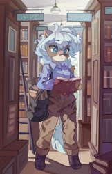 Size: 2657x4096 | Tagged: safe, artist:saxopi, oc, oc only, semi-anthro, arm hooves, bag, book, bookshelf, ladder, library, solo