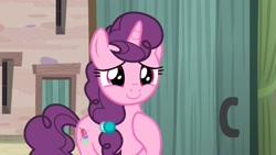 Size: 2560x1440 | Tagged: safe, screencap, sugar belle, pony, unicorn, g4, hard to say anything, season 7, bag, cute, female, mare, our town, saddle bag, smiling, solo, sugarbetes