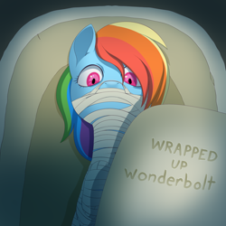 Size: 2000x2000 | Tagged: safe, artist:zettaidullahan, rainbow dash, pegasus, pony, fanfic:wrapped up wonderbolt, g4, bandage, bondage, fanfic, fanfic art, fanfic cover, female, gag, high res, mare, mummification, mummified, sarcophagus, solo, story in the source, title, wide eyes, wrapped up