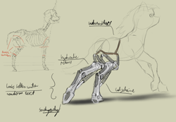 Size: 3508x2421 | Tagged: safe, artist:felfox, earth pony, pony, robot, anatomy, bone, high res, robotic legs, skeleton, solo