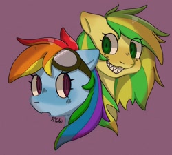 Size: 2048x1842 | Tagged: safe, artist:usapipoyoyo, rainbow dash, oc, oc:wooden toaster, pegasus, pony, g4, bust, duo, goggles, sharp teeth, simple background, smiling, teeth