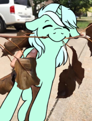 Size: 744x974 | Tagged: artist needed, source needed, safe, edit, lyra heartstrings, human, pony, unicorn, g4, behaving like a dog, female, holding a pony, irl, photo, ponified animal photo, smiling, stick