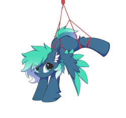 Size: 8480x7981 | Tagged: safe, artist:verlista, oc, oc only, oc:kishy, pegasus, pony, absurd resolution, bondage, female, looking at you, mare, rope, rope bondage, shibari, simple background, solo, spread wings, white background, wings