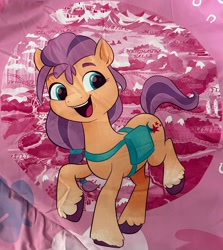 Size: 2956x3307 | Tagged: safe, sunny starscout, earth pony, pony, g5, bag, bedding, close-up, coat markings, cropped, female, high res, irl, map of equestria, mare, merchandise, missing accessory, photo, saddle bag, socks (coat markings), solo, unshorn fetlocks