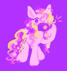 Size: 1280x1351 | Tagged: safe, artist:peaceandlove26, fluttershy (g3), earth pony, pony, g3, blush scribble, blushing, camera, colored hooves, eyestrain warning, flower, flower in hair, looking at you, purple background, purple eyes, simple background, solo, standing, taking a photo