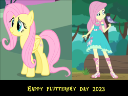Size: 1600x1200 | Tagged: safe, artist:mlpfan3991, fluttershy, bird, human, pegasus, pony, equestria girls, g4, 2023, clothes, dress, female, fluttershy day, human ponidox, mare, sandals, self paradox, self ponidox, shoes, solo, wrong aspect ratio