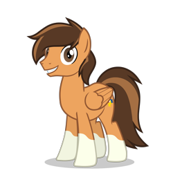 Size: 2800x2800 | Tagged: safe, artist:oblivionfall, oc, oc only, oc:murphneigh, pegasus, pony, coat markings, high res, pegasus oc, simple background, socks (coat markings), solo, transparent background, vector