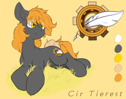 Size: 2713x2142 | Tagged: safe, artist:cirtierest, oc, oc only, oc:cir tierest, earth pony, pony, high res, simple background, solo