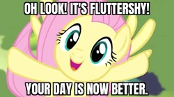 Size: 640x359 | Tagged: safe, edit, edited screencap, screencap, fluttershy, pegasus, pony, g4, bronybait, caption, fluttershy day, image macro, looking at you, meme, open mouth, open smile, smiling, subverted meme, sweet dreams fuel, text, truth, your day is ruined