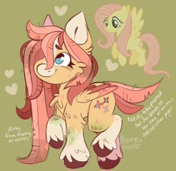 Size: 1086x1054 | Tagged: safe, artist:marleemutt, fluttershy, pegasus, pony, g4, alternate design, ear cleavage, green background, hooves, reference sheet, simple background, smiling, solo, wings