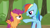 Size: 1280x720 | Tagged: safe, screencap, rainbow dash, scootaloo, pony, brotherhooves social, g4