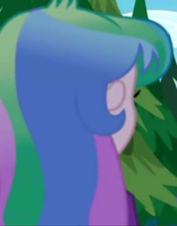 Size: 452x576 | Tagged: safe, screencap, princess celestia, principal celestia, human, equestria girls, g4, pine tree, rear view, tree