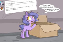 Size: 1280x854 | Tagged: safe, artist:lolepopenon, oc, oc:billie, earth pony, pony, ask billie the kid, ask, box, solo