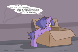 Size: 1280x854 | Tagged: safe, artist:lolepopenon, oc, oc:billie, earth pony, pony, ask billie the kid, ask, box, solo