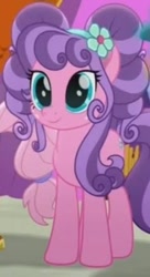 Size: 252x462 | Tagged: safe, screencap, petunia petals, earth pony, pony, g4, my little pony: rainbow roadtrip