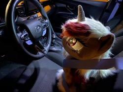 Size: 2048x1536 | Tagged: artist needed, safe, oc, oc:rose glow, car, irl, photo, plushie