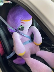 Size: 1536x2048 | Tagged: safe, pipp petals, pegasus, pony, g5, car, irl, photo, plushie