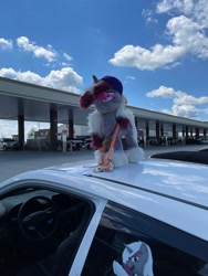 Size: 1536x2048 | Tagged: safe, oc, oc:rose glow, pony, car, irl, photo, plushie