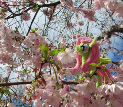 Size: 2098x1822 | Tagged: safe, alternate version, artist:malte279, part of a set, fluttershy, pony, g4, chenille, chenille stems, chenille wire, cherry blossoms, cherry tree, craft, flower, flower blossom, irl, part of a series, photo, pipe cleaner sculpture, pipe cleaners, tree