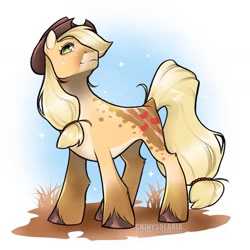 Size: 1440x1440 | Tagged: safe, artist:shinysolaria, applejack, earth pony, pony, g4, coat markings, concave belly, countershading, quadrupedal, redesign, solo, standing, unshorn fetlocks