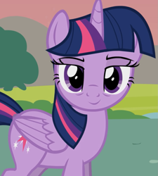 Size: 967x1073 | Tagged: safe, artist:agrol, twilight sparkle, alicorn, pony, princesses don't sleep, g4, cropped, dusk, female, lidded eyes, looking at you, mare, ponyville, pretty, smiling, smiling at you, solo, twilight sparkle (alicorn)