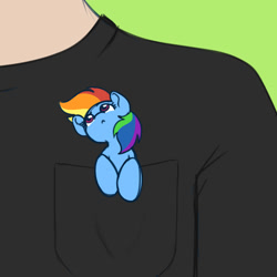 Size: 1500x1500 | Tagged: safe, artist:koapony, rainbow dash, human, pegasus, pony, g4, :<, clothes, female, looking up, mare, micro, offscreen character, offscreen human, pocket pony, shirt, solo