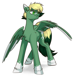 Size: 2268x2352 | Tagged: safe, artist:chibadeer, oc, oc only, oc:inex code, pegasus, pony, colored wings, colored wingtips, high res, male, simple background, solo, spread wings, tail, two toned mane, two toned tail, two toned wings, white background, wings