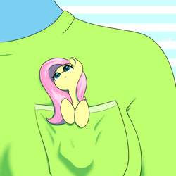 Size: 1500x1500 | Tagged: safe, artist:koapony, fluttershy, human, pegasus, pony, g4, :<, clothes, cute, female, looking up, mare, micro, offscreen character, offscreen human, pocket pony, shirt, shyabetes, solo