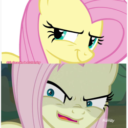 Size: 2048x2048 | Tagged: safe, artist:flutteryaylove, screencap, fluttershy, mean fluttershy, pegasus, pony, g4, my little pony: friendship is magic, the mean 6, clone, discovery family, discovery family logo, evil fluttershy, high res, logo