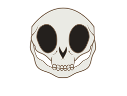 Size: 1024x777 | Tagged: safe, artist:karlosbaygorriakb, edit, editor:aborrozakale, vector edit, pony, simple background, skull, solo, transparent background, vector