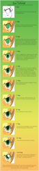 Size: 800x3500 | Tagged: safe, artist:inuhoshi-to-darkpen, pony, 2012, cheek fluff, ear fluff, eye shimmer, fluffy, gradient background, green background, green eyes, guide, highlights, how to draw, iris, looking at you, old art, step by step, tutorial