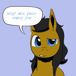 Size: 659x659 | Tagged: safe, artist:darkhestur, oc, oc:dark, pony, braid, concerned, looking at you, speech bubble