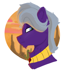 Size: 2000x2000 | Tagged: safe, artist:aurorafang, oc, oc:stratus swirl, pegasus, pony, high res, jewelry, male, necklace, pegasus oc, stallion, sunset