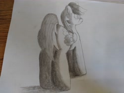 Size: 4608x3456 | Tagged: safe, artist:acid flask, rainbow dash, pegasus, pony, g4, art dump, butt, drawing, female, graphite drawing, mare, paper, plot, shading, shadow, sketch, sketch dump, solo, traditional art