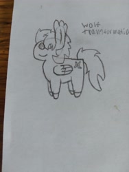 Size: 4608x3456 | Tagged: safe, artist:acid flask, oc, oc only, pegasus, pony, art dump, female, happy, mare, paper, pegasus oc, pointy ponies, sketch, sketch dump, sketchbook, small, smiling, traditional art, wings