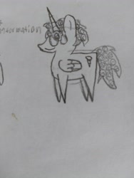 Size: 4608x3456 | Tagged: safe, artist:acid flask, oc, alicorn, pony, alicorn oc, art dump, graphite drawing, horn, male, paper, pointy ponies, sketch, sketch dump, sketchbook, small, wings