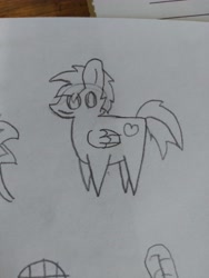 Size: 4608x3456 | Tagged: safe, artist:acid flask, oc, oc only, pegasus, pony, art dump, drawing, female, graphite drawing, mare, paper, pegasus oc, pointy ponies, sketch, sketch dump, solo, traditional art