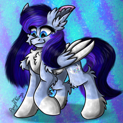 Size: 894x894 | Tagged: safe, artist:angelwingsmlpfim, oc, pegasus, pony, chest fluff, colored wings, colored wingtips, fluffy, solo, two toned wings, wings