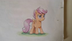 Size: 4128x2322 | Tagged: safe, artist:mrbojorquez7, scootaloo, pegasus, pony, g4, female, solo, traditional art