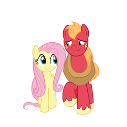 Size: 2250x2250 | Tagged: safe, anonymous artist, big macintosh, fluttershy, earth pony, pegasus, pony, g4, the perfect pear, duo, female, high res, looking at each other, looking at someone, male, mare, ship:fluttermac, shipping, simple background, smiling, smiling at each other, stallion, straight, transparent background, vector