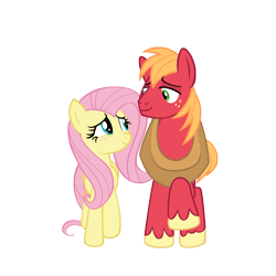 Size: 2250x2250 | Tagged: safe, anonymous artist, big macintosh, fluttershy, earth pony, pegasus, pony, g4, the perfect pear, blushing, duo, female, high res, lidded eyes, looking at each other, looking at someone, male, mare, ship:fluttermac, shipping, simple background, smiling, smiling at each other, stallion, straight, transparent background, vector, walking