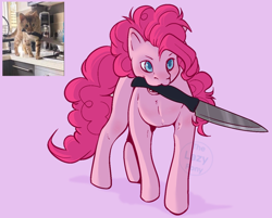 Size: 1914x1536 | Tagged: safe, artist:thelazyponyy, pinkie pie, cat, earth pony, pony, g4, :3, adoracreepy, behaving like a cat, creepy, cute, female, knife, mare, missing cutie mark, mouth hold, ponified animal photo, simple background, solo, this will end in cupcakes