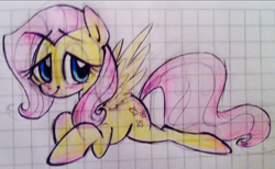 Size: 966x594 | Tagged: safe, artist:kluzart, fluttershy, pony, g4, graph paper, solo, traditional art