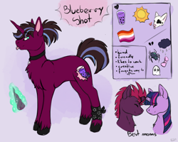 Size: 1872x1500 | Tagged: safe, artist:galaxylatte, tempest shadow, twilight sparkle, oc, oc:blueberry shot, pegasus, pony, g4, character, child, female, horn, lesbian, lesbian pride flag, magical lesbian spawn, offspring, parent:tempest shadow, parent:twilight sparkle, parents:tempestlight, pride, pride flag, purple body, purple hair, reference sheet, ship:tempestlight, shipping, solo, tongue out