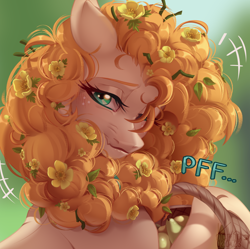 Size: 1294x1290 | Tagged: safe, artist:kanika-png, pear butter, earth pony, pony, g4, basket, blushing, female, flower, flower in hair, food, gradient background, pear, solo