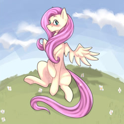 Size: 962x963 | Tagged: safe, artist:patheticllamas, fluttershy, pegasus, pony, g4, blushing, cloud, cute, female, flower, flustered, grass, hill, looking at you, mare, shyabetes, sitting, sky, solo, spread wings, wings
