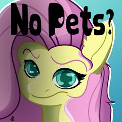 Size: 1800x1800 | Tagged: safe, artist:ermecg, fluttershy, pegasus, pony, g4, colored lineart, meme, no bitches?, no pets?, simple background, solo